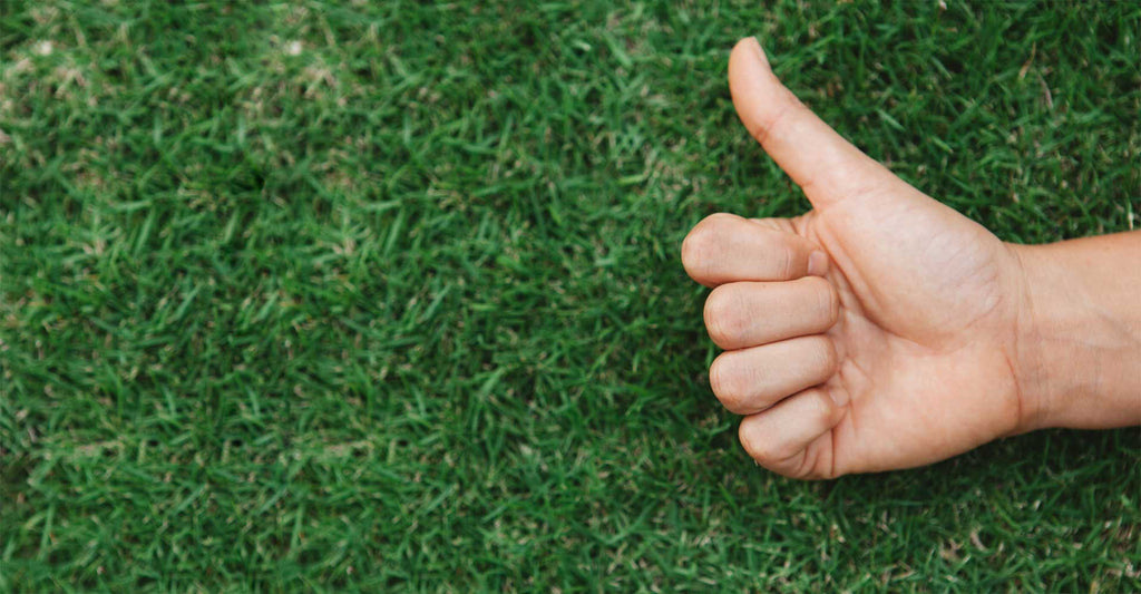 Hand giving a thumbs up on an artificial grass background.
