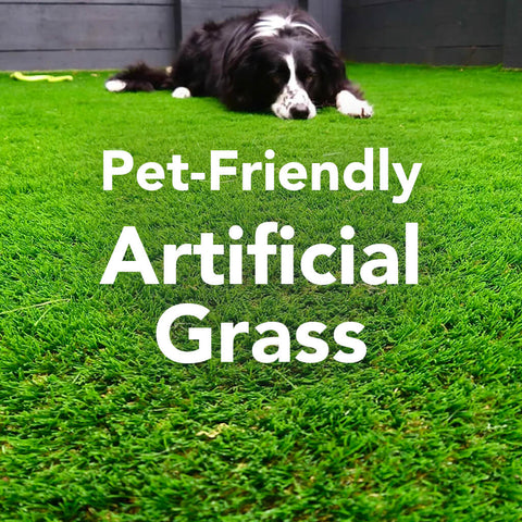 Pet-Friendly Artificial Grass