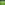 Olympia XTREME 43mm Artificial Grass