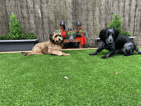 Fake grass prices deals